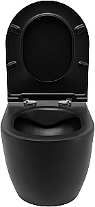 Унитаз приставной Allen Brau Reality 4.32004.31 черный матовый, безободковый, с крышкой микролифт купить в интернет-магазине Sanbest