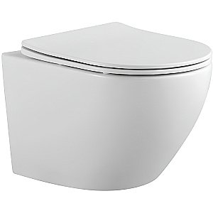 Унитаз подвесной Aquatek Европа AQ1901-00 белый, с крышкой микролифт, безободковый купить в интернет-магазине Sanbest