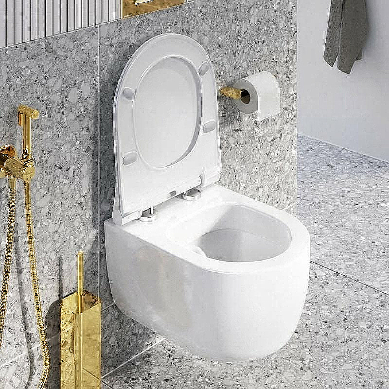 Унитаз подвесной Excellent Odyss CENL.4609.490.WH белый, безободковый, с крышкой микролифт купить в интернет-магазине Sanbest