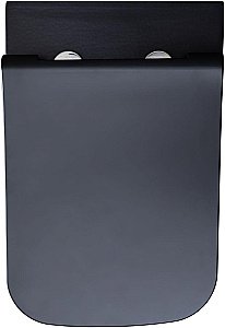 Унитаз подвесной Allen Brau Infinity 2 4.21011.31 черный матовый, безободковый купить в интернет-магазине Sanbest