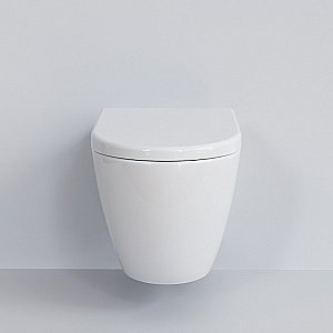 Унитаз Ambassador Queen 113T20001R-112T20001S белый, безободковый, с крышкой микролифт купить в интернет-магазине Sanbest