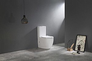 Унитаз напольный CeramaLux TR2176-1 белый, с бачком, с крышкой микролифт, слив торнадо купить в интернет-магазине Sanbest