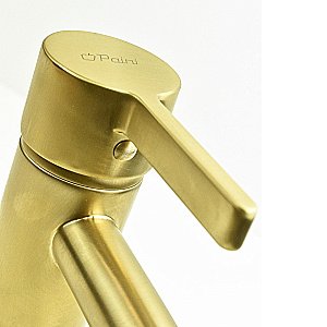 Смеситель для биде PAINI Brera 74PJ304 золото матовое купить в интернет-магазине сантехники Sanbest