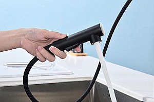 Смеситель для кухни Paulmark Neo Ne214419-AN антрацит купить в интернет-магазине сантехники Sanbest