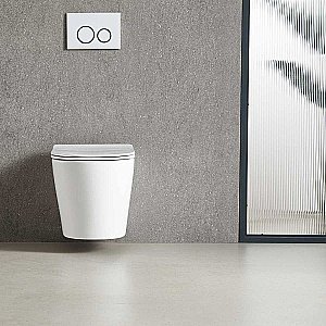 Унитаз Vincea Piatti VT1-11T безободковый, смыв торнадо, с крышкой микролифт, белый купить в интернет-магазине Sanbest