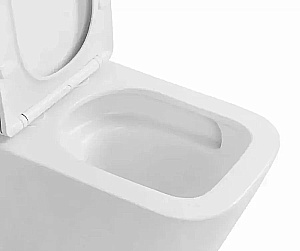 Унитаз подвесной beWash Schutz BKWHT002525 белый, безободковый, с крышкой микролифт, слив торнадо купить в интернет-магазине Sanbest
