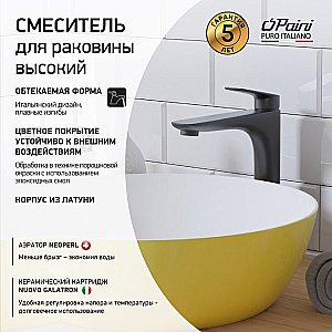 Смеситель для раковины PAINI Laguna LAYO205LL черный купить в интернет-магазине сантехники Sanbest