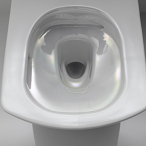 Унитаз TOTO NEOREST AC CW996PVD#NW1 с крышкой-биде WASHLET® AC 2.0 TCF996RWG#NW1 безободковый, слив торнадо, белый купить в интернет-магазине Sanbest