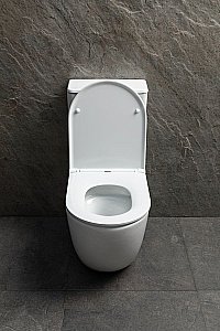 Унитаз-компакт Allen Brau Priority 3 4.31006.20 белый, безободковый, с крышкой микролифт купить в интернет-магазине Sanbest