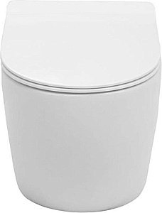 Подвесной унитаз Aquanet Rimless Cetus-W BL-102N-WHT с крышкой микролифт, безободковый купить в интернет-магазине Sanbest