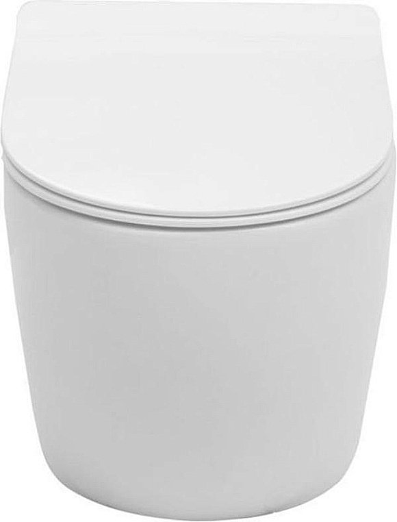 Подвесной унитаз Aquanet Rimless Cetus-W BL-102N-WHT с крышкой микролифт, безободковый купить в интернет-магазине Sanbest