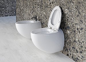 Унитаз Sanita luxe Ringo RNGSLWH0104R безободковый, с крышкой микролифт, белый купить в интернет-магазине Sanbest