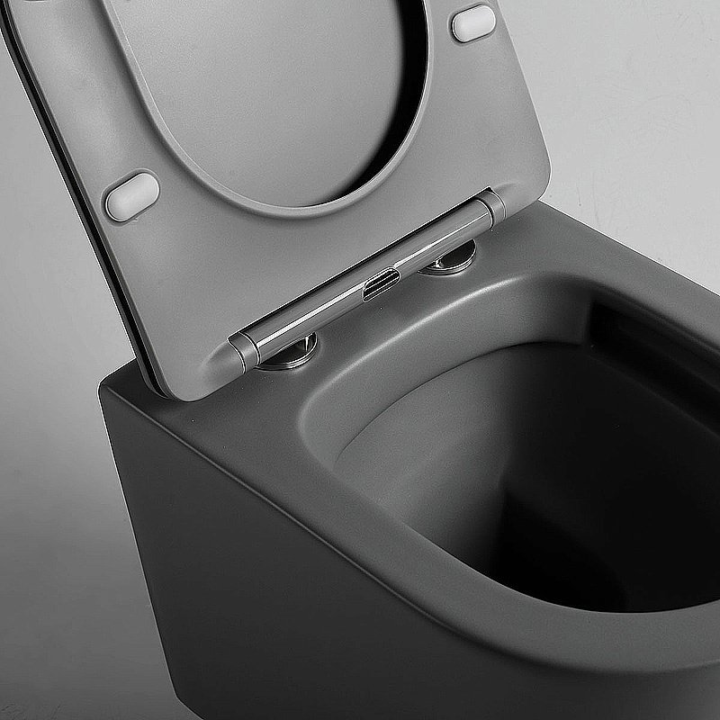 Унитаз Vincea Piatti VT1-11SMA безободковый, с крышкой микролифт, антрацит матовый купить в интернет-магазине Sanbest