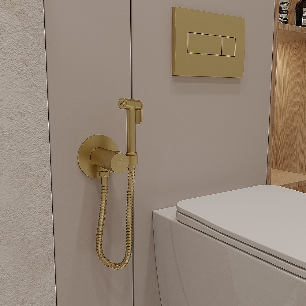 Гигиенический душ Oliveeka Y OL-829909-BG золото матовое купить в интернет-магазине сантехники Sanbest
