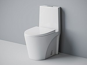 Унитаз-моноблок с функцией биде Laguraty 2100AC с крышкой микролифт купить в интернет-магазине Sanbest