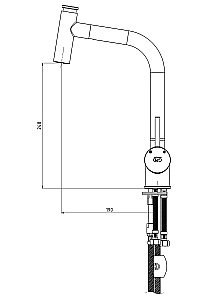 Смеситель для кухни с выдвижным изливом GPD ESPINA MES71 купить в интернет-магазине сантехники Sanbest