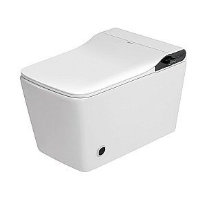 Унитаз подвесной с биде и инсталляцией Abber Bequem AC1215S-AC0101P2 белый, с крышкой микролифт купить в интернет-магазине Sanbest