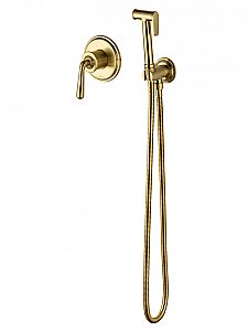 Смеситель с гигиеническим душем встраиваемый WONZON & WOGHAND STEAM, Брашированное золото (WW-88849008-BG) купить в интернет-магазине сантехники Sanbest