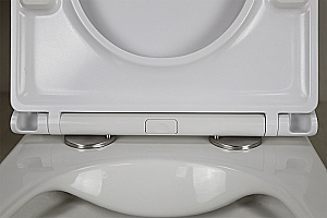 Унитаз подвесной Azario Pro PRO-0002 белый, безободковый, с крышкой микролифт купить в интернет-магазине Sanbest