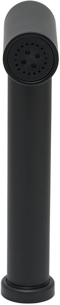 Гигиенический душ Allen Brau Priority 5.31028-31 черный матовый купить в интернет-магазине сантехники Sanbest