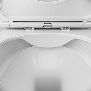 Унитаз подвесной AM.PM Func C8F1700SC белый, безободковый купить в интернет-магазине Sanbest