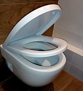 Унитаз подвесной Roca Meridian 893104110 с инсталляцией, с крышкой микролифт купить в интернет-магазине Sanbest