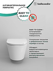 Унитаз подвесной Ambassador Ritz 233K19003RS безободковый, с крышкой микролифт, белый купить в интернет-магазине Sanbest