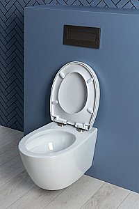 Унитаз подвесной Aquanet ZV-1 белый с крышкой микролифт, безободковый, слив-торнадо купить в интернет-магазине Sanbest