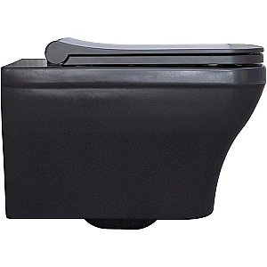 Унитаз подвесной Allen Brau Infinity 2 4.21011.AN антрацит матовый, безободковый купить в интернет-магазине Sanbest