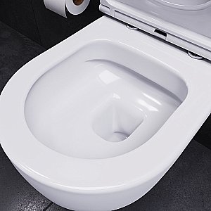 Унитаз подвесной Damixa Sirius DX86C1700SC белый, с крышкой микролифт, безободковый купить в интернет-магазине Sanbest