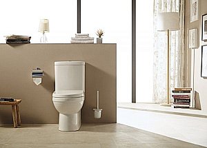 Унитаз напольный Bravat New Moon с бачком, с крышкой микролифт купить в интернет-магазине Sanbest