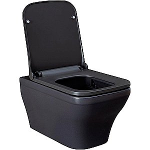 Унитаз подвесной Allen Brau Infinity 2 4.21011.AN антрацит матовый, безободковый купить в интернет-магазине Sanbest