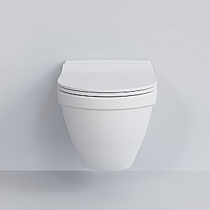 Унитаз подвесной Ambassador Nord 133T20101 белый матовый купить в интернет-магазине Sanbest