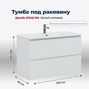 Тумба с раковиной Aquanet Джейн (Flat) 335426/330426 100 белый матовый для ванной в интернет-магазине Sanbest