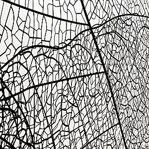 Душевая дверь DTO FB2 190-210 98865 с рисунком/профиль черный купить в интернет-магазине Sanbest