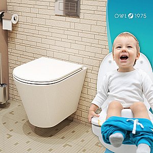 Унитаз подвесной OWL 1975 Vind Ruta-H TOWLT190304 безободковый, с крышкой микролифт купить в интернет-магазине Sanbest