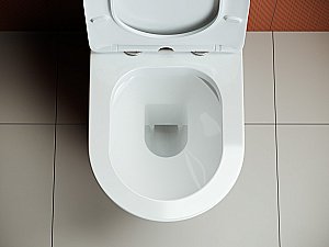 Унитаз Ceramica Nova HIGHLIGHT CN1802 безободковый, с крышкой микролифт, с бачком купить в интернет-магазине Sanbest