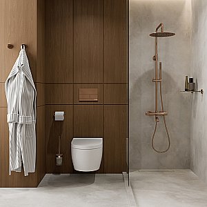Система инсталляции для унитаза WasserKraft Dinkel 58TLT.010.ME.RG04 с кнопкой розовое золото купить в интернет-магазине сантехники Sanbest