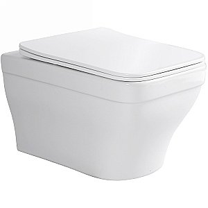 Унитаз подвесной Aquatek Амадео AQ1163-00 белый, с крышкой микролифт, безободковый купить в интернет-магазине Sanbest