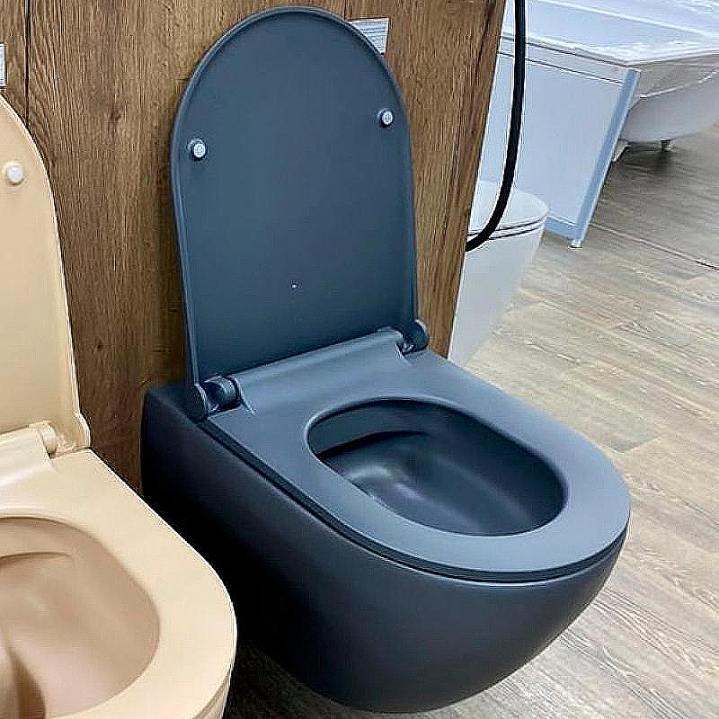 Унитаз подвесной beWash Bogen 88303280 антрацит, безободковый, с крышкой микролифт купить в интернет-магазине Sanbest