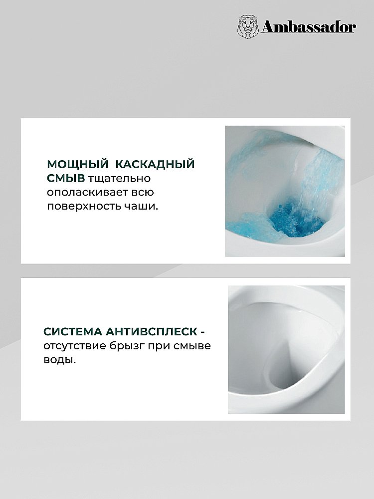 Унитаз Ambassador Royal 267K19001S с бачком, с крышкой микролифт, белый купить в интернет-магазине Sanbest