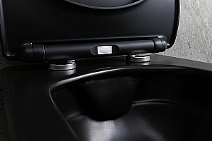 Унитаз подвесной Allen Brau Liberty 2 4.33007.31 черный матовый, безободковый купить в интернет-магазине Sanbest