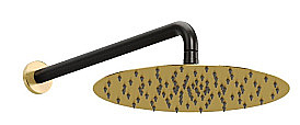 Верхний душ Allen Brau Priority 5.31A17-GB31 черный/золото купить в интернет-магазине сантехники Sanbest