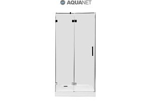 Душевая дверь Aquanet Beta NWD6221 100 купить в интернет-магазине Sanbest