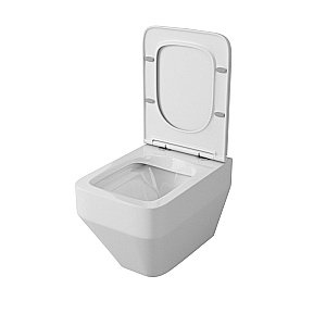 Унитаз Owl 1975 Eld Ruta-H безободковый, с крышкой микролифт купить в интернет-магазине Sanbest