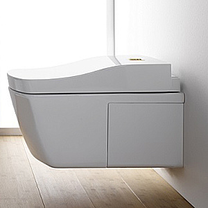 Унитаз TOTO NEOREST AC CW996PVD#NW1 с крышкой-биде WASHLET® AC 2.0 TCF996RWG#NW1 безободковый, слив торнадо, белый купить в интернет-магазине Sanbest