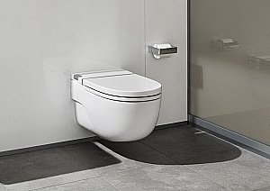 Унитаз подвесной Roca Meridian In-Tank 893302000 с крышкой микролифт купить в интернет-магазине Sanbest