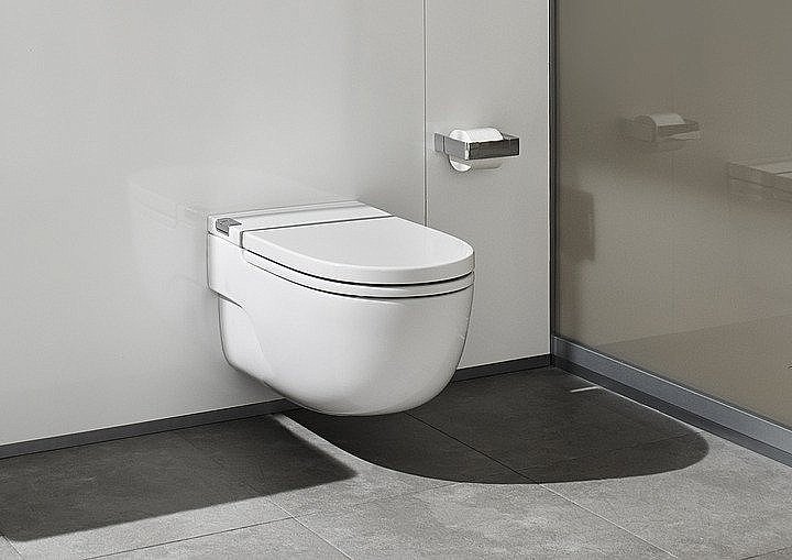 Унитаз подвесной Roca Meridian In-Tank 893302000 с крышкой микролифт купить в интернет-магазине Sanbest