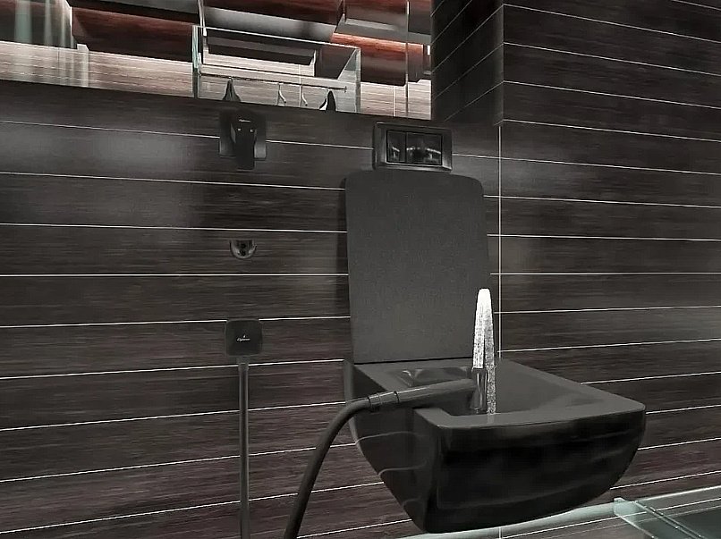 Гигиенический душ Elghansa Berkshire 34Q0743-Black (Set-824) черный купить в интернет-магазине сантехники Sanbest