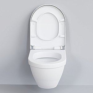 Унитаз подвесной Ambassador Nord 133T20101 белый матовый купить в интернет-магазине Sanbest